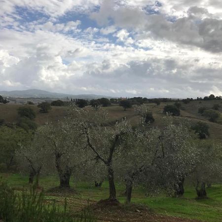 Podere Pini Magliano in Toscana Bagian luar foto