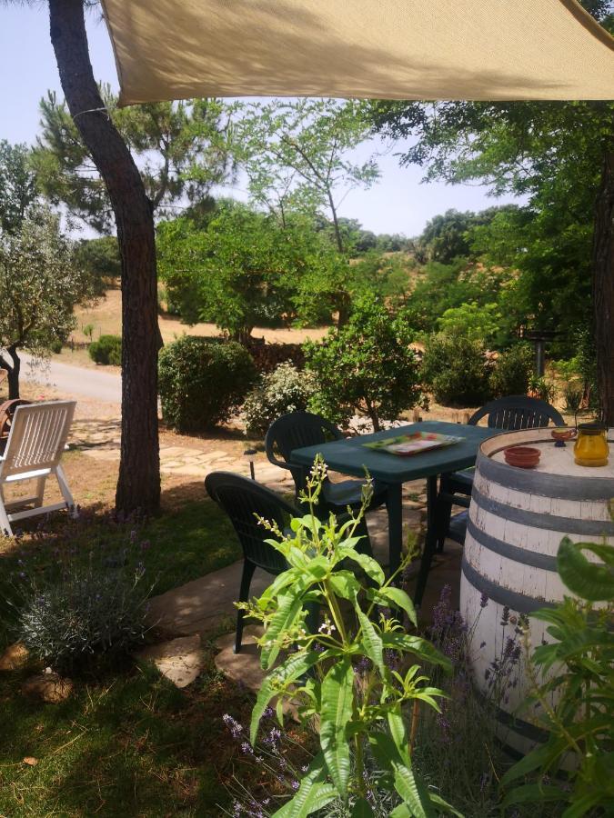 Podere Pini Magliano in Toscana Bagian luar foto