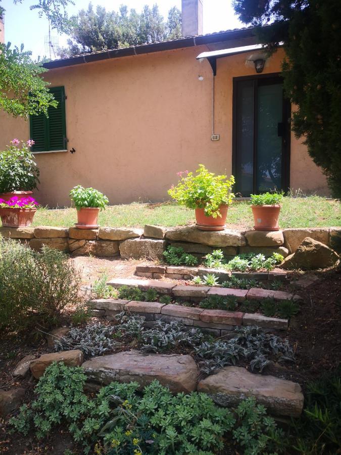 Podere Pini Magliano in Toscana Bagian luar foto