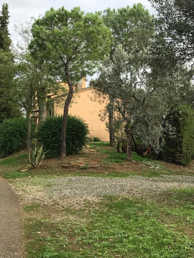 Podere Pini Magliano in Toscana Bagian luar foto