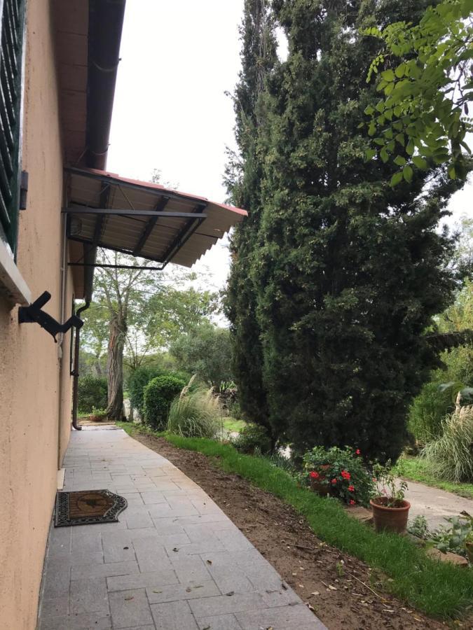 Podere Pini Magliano in Toscana Bagian luar foto