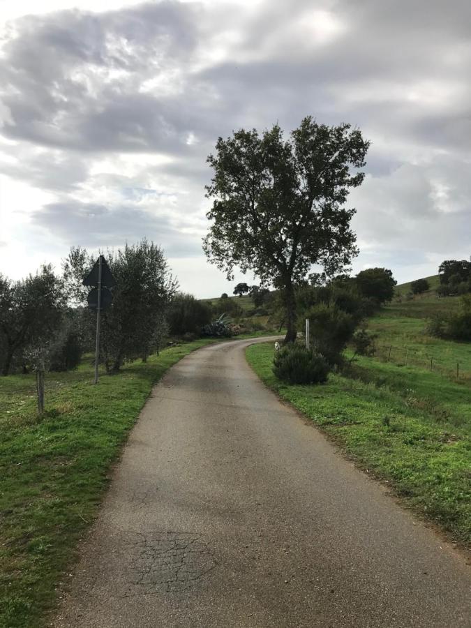 Podere Pini Magliano in Toscana Bagian luar foto