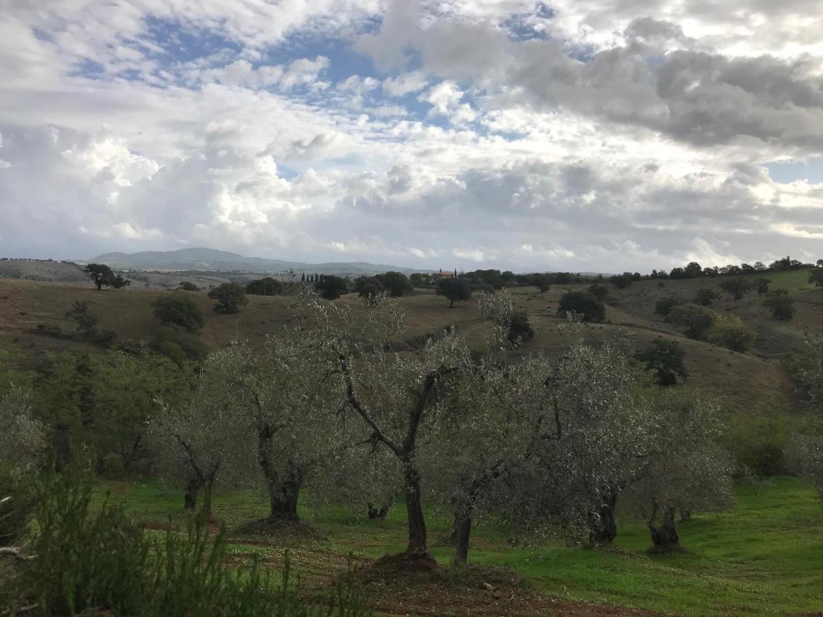 Podere Pini Magliano in Toscana Bagian luar foto